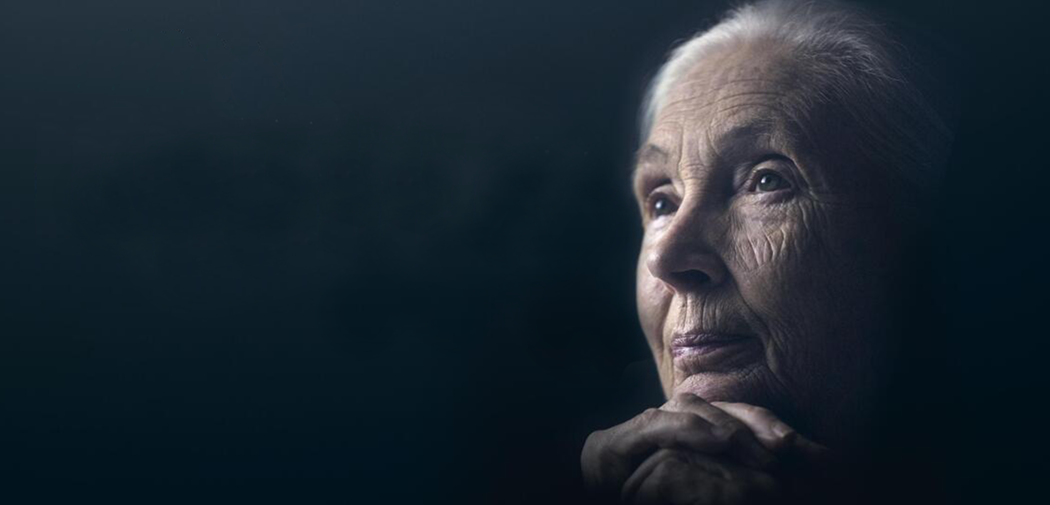 Face of Jane Goodall staring into the distance against a black background